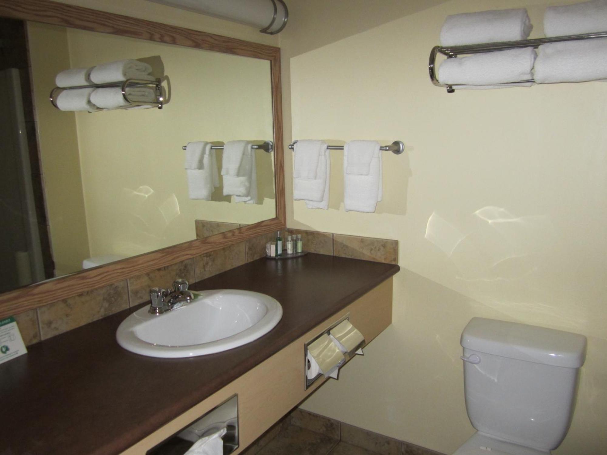 Trend Mountain Hotel & Conference Centre Tumbler Ridge 部屋 写真